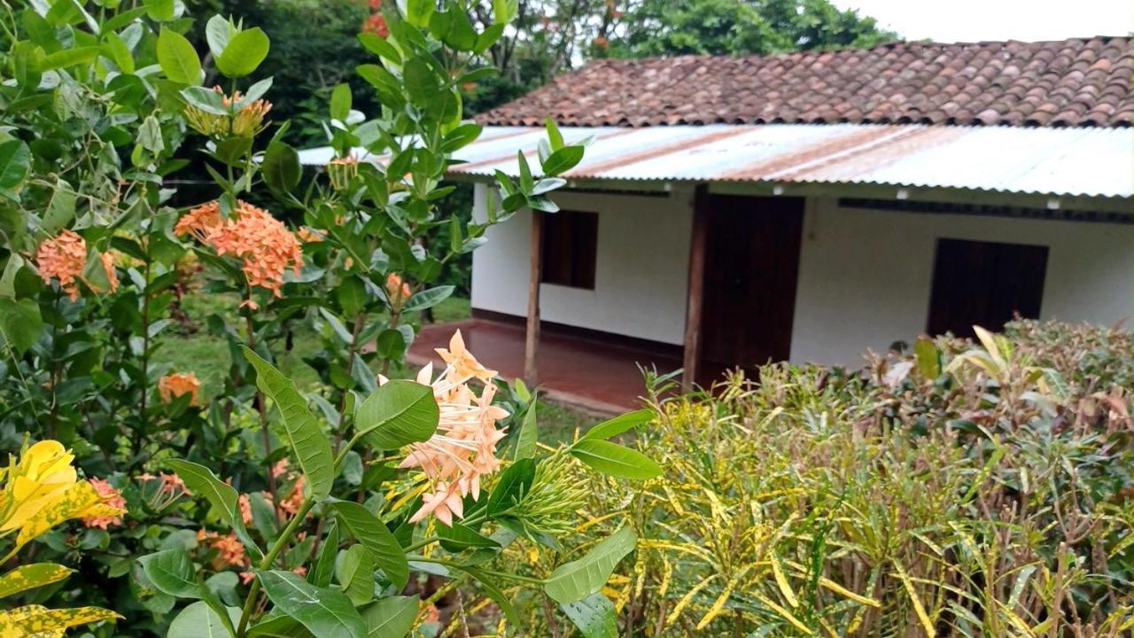 Finca Magdalena Eco Lodge Бальге Экстерьер фото