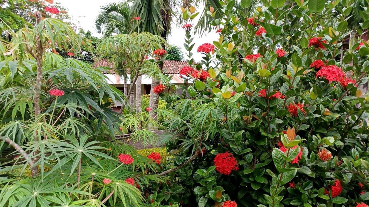 Finca Magdalena Eco Lodge Бальге Экстерьер фото