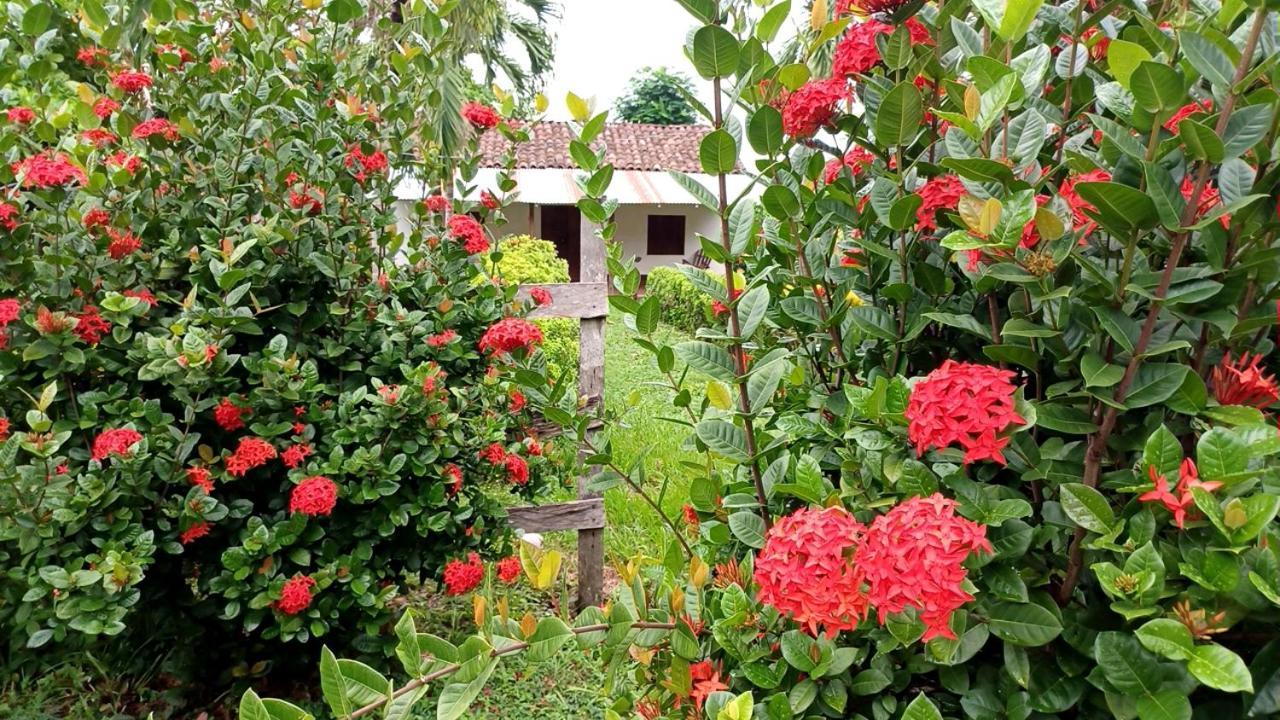 Finca Magdalena Eco Lodge Бальге Экстерьер фото